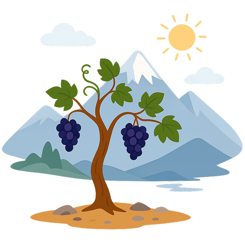 Illustration du climat climat d’altitude