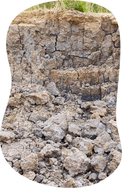 Sable doré et fin